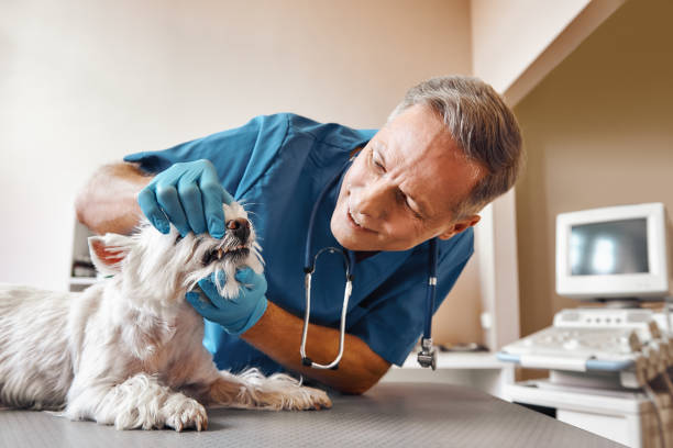 Best Emergency Dentist for Special Needs Patients in Graymoor Devondale, KY